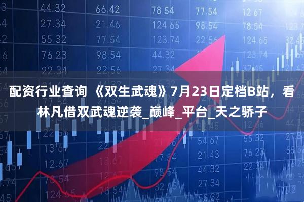 配资行业查询 《双生武魂》7月23日定档B站，看林凡借双武魂逆袭_巅峰_平台_天之骄子