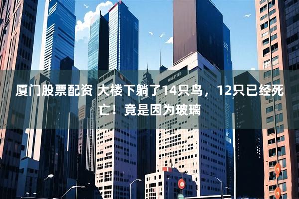 厦门股票配资 大楼下躺了14只鸟，12只已经死亡！竟是因为玻璃