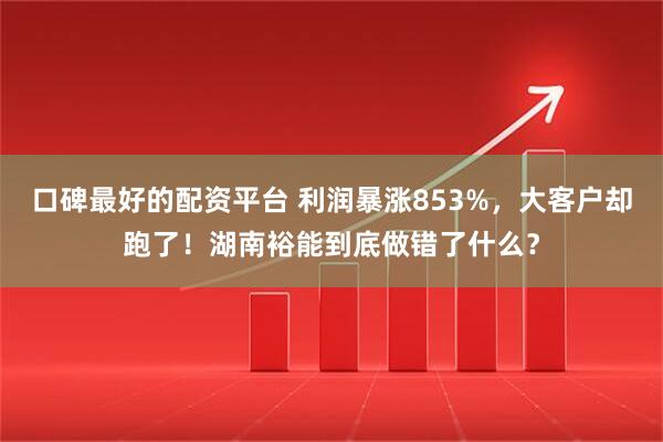 口碑最好的配资平台 利润暴涨853%，大客户却跑了！湖南裕能到底做错了什么？